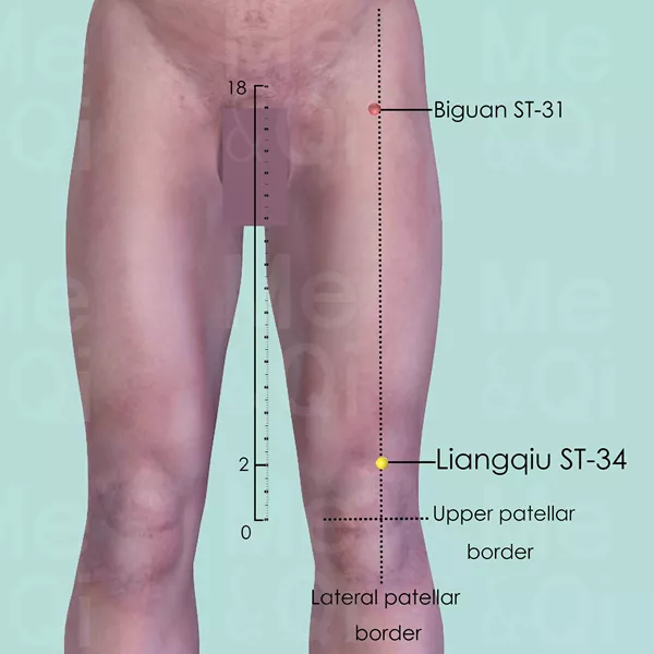 Liangqiu ST-34 - Skin view - Acupuncture point on Stomach Channel