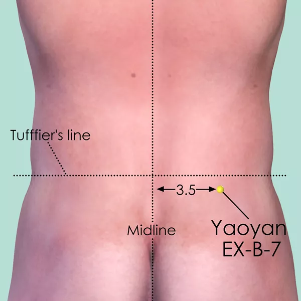 Yaoyan EX-B-7 - Skin view - Acupuncture point on Extra Points: Back (EX-B)