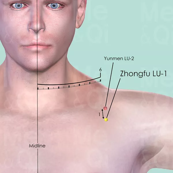 Zhongfu LU-1 - Skin view - Acupuncture point on Lung Channel