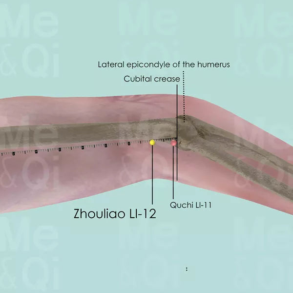 Zhouliao LI-12 - Bones view - Acupuncture point on Large Intestine Channel