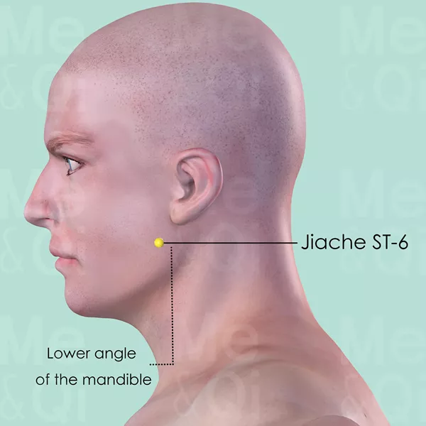 Jiache ST-6 - Skin view - Acupuncture point on Stomach Channel