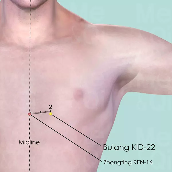 Bulang KID-22 - Skin view - Acupuncture point on Kidney Channel