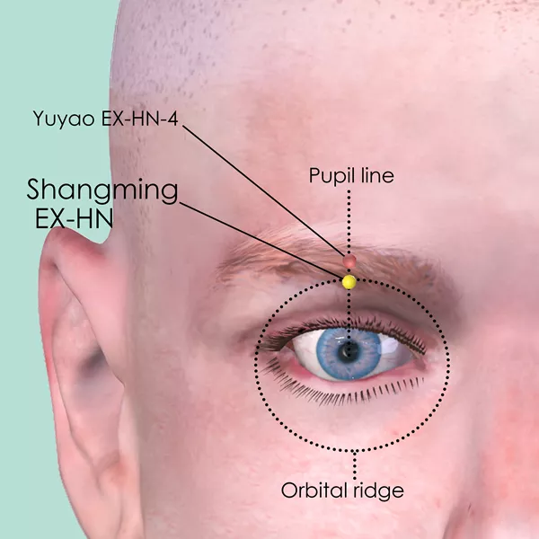 Shangming EX-HN - Skin view - Acupuncture point on Extra Points: Head and Neck (EX-HN)