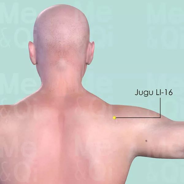 Jugu LI-16 - Skin view - Acupuncture point on Large Intestine Channel