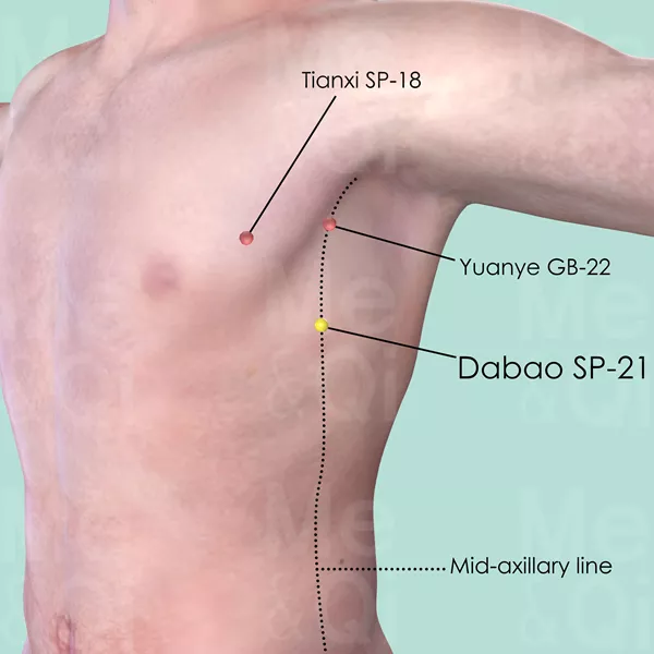 Dabao SP-21 - Skin view - Acupuncture point on Spleen Channel