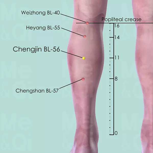 Chengjin BL-56 - Skin view - Acupuncture point on Bladder Channel