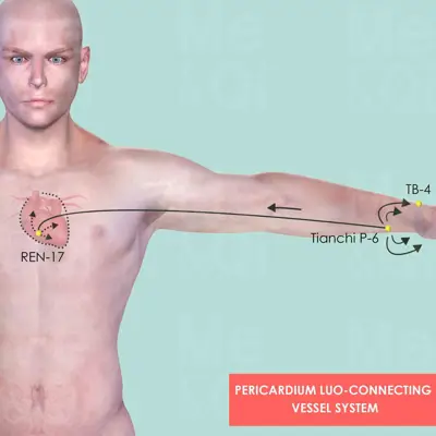 Pericardium Luo-Connecting Vessel System pathway