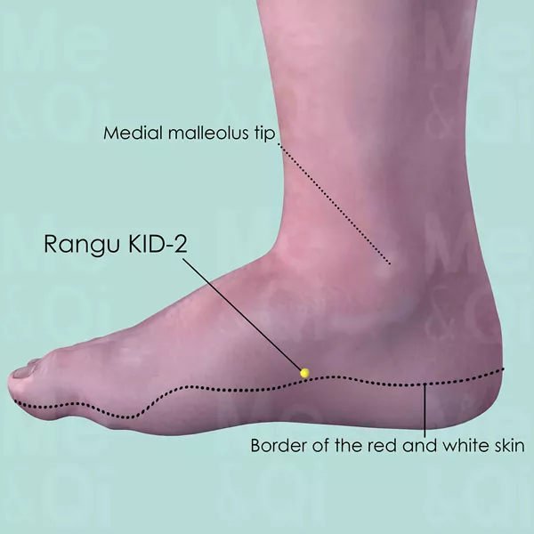 Rangu KID-2 - Skin view - Acupuncture point on Kidney Channel