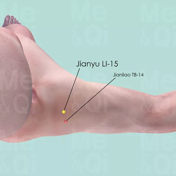 Jianyu LI-15 - Skin view - Acupuncture point on Large Intestine Channel