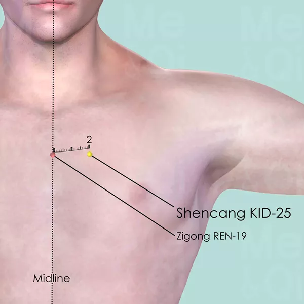 Shencang KID-25 - Skin view - Acupuncture point on Kidney Channel