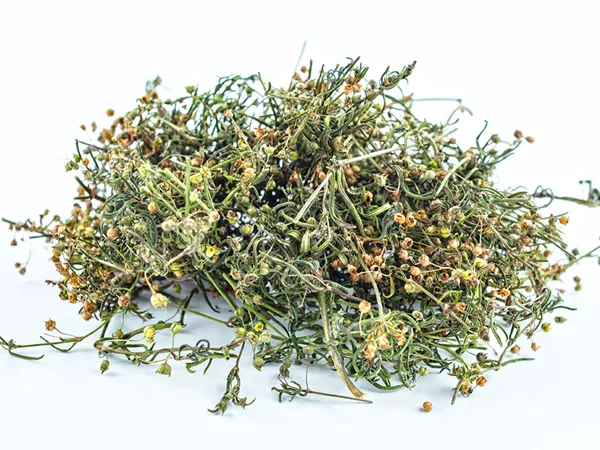 What Oldenlandia looks like as a TCM ingredient