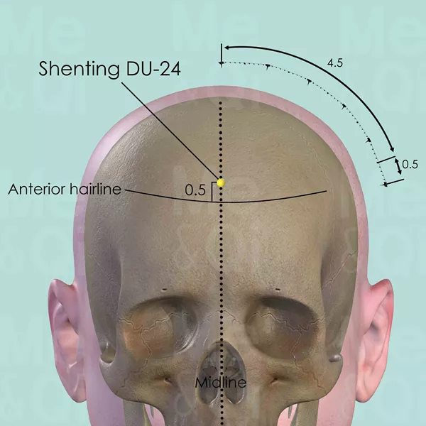 Shenting DU-24 - Bones view - Acupuncture point on Governing Vessel