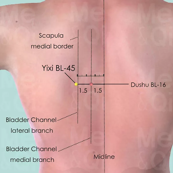 Yixi BL-45 - Skin view - Acupuncture point on Bladder Channel