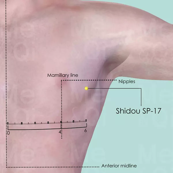Shidou SP-17 - Skin view - Acupuncture point on Spleen Channel