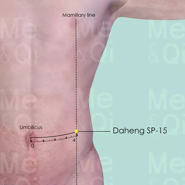Daheng SP-15 - Skin view - Acupuncture point on Spleen Channel