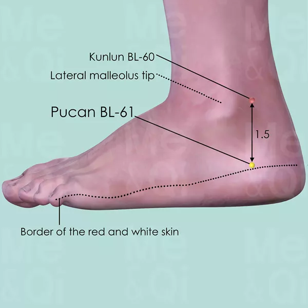 Pucan BL-61 - Skin view - Acupuncture point on Bladder Channel