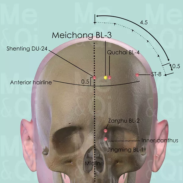Meichong BL-3 - Bones view - Acupuncture point on Bladder Channel