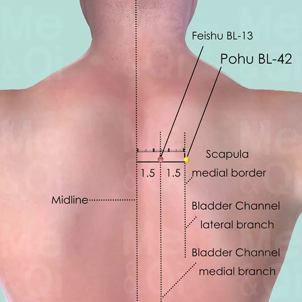 Pohu BL-42 - Skin view - Acupuncture point on Bladder Channel