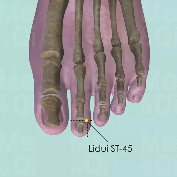 Lidui ST-45 - Bones view - Acupuncture point on Stomach Channel