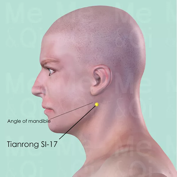 Tianrong SI-17 - Skin view - Acupuncture point on Small Intestine Channel
