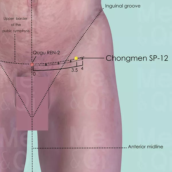 Chongmen SP-12 - Skin view - Acupuncture point on Spleen Channel