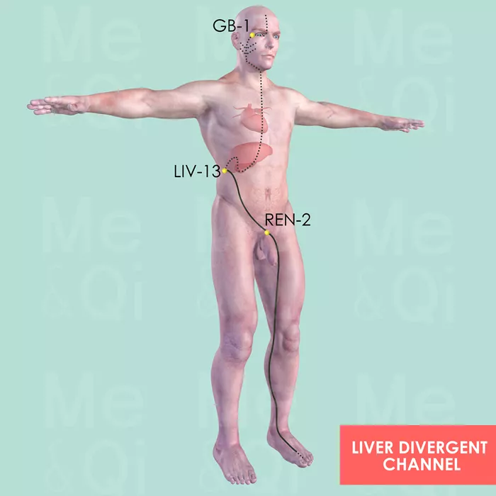 Liver Divergent Channel