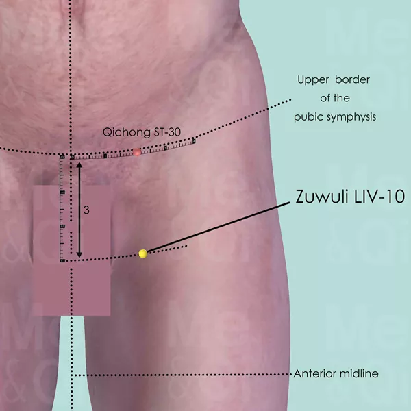 Zuwuli LIV-10 - Skin view - Acupuncture point on Liver Channel