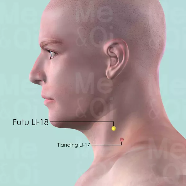Futu LI-18 - Skin view - Acupuncture point on Large Intestine Channel