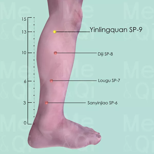 Yinlingquan SP-9 - Skin view - Acupuncture point on Spleen Channel