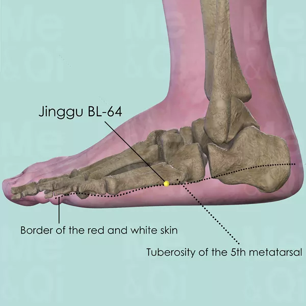 Jinggu BL-64 - Bones view - Acupuncture point on Bladder Channel