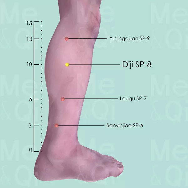 Diji SP-8 - Skin view - Acupuncture point on Spleen Channel