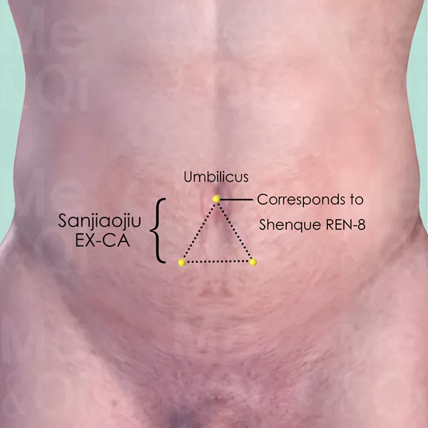 Sanjiaojiu EX-CA - Skin view - Acupuncture point on Extra Points: Chest and Abdomen (EX-CA)