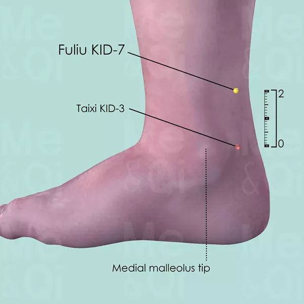 Fuliu KID-7 - Skin view - Acupuncture point on Kidney Channel