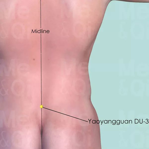 Yaoyangguan DU-3 - Skin view - Acupuncture point on Governing Vessel