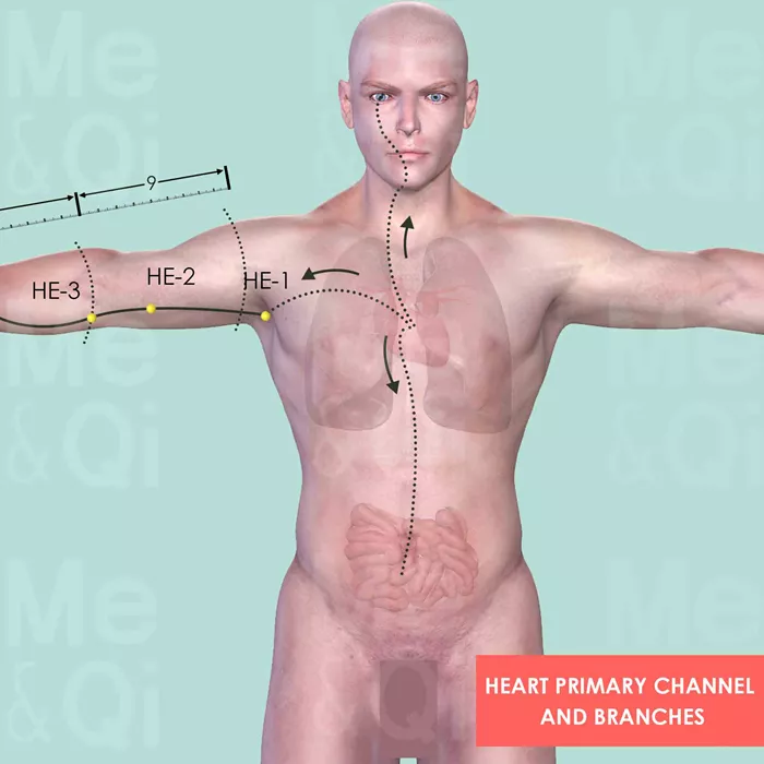 Heart Primary Channel