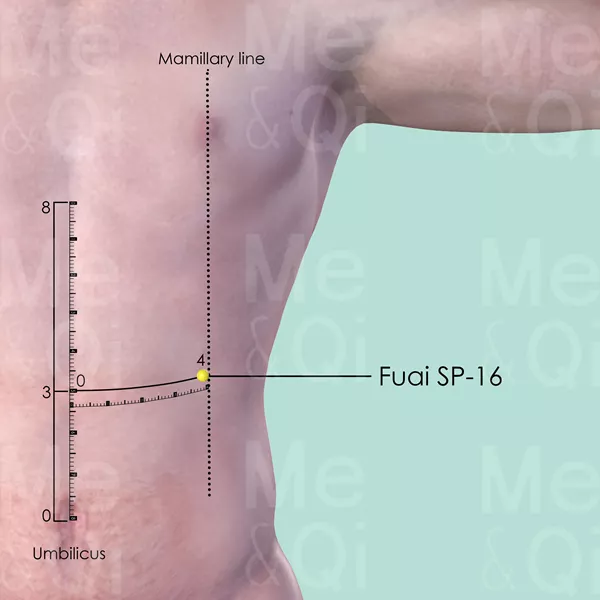 Fuai SP-16 - Skin view - Acupuncture point on Spleen Channel