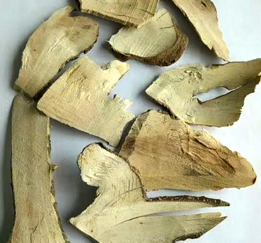 Gǎng Méi Gēn (Ilex Asprella root) as TCM ingredient