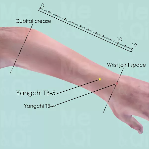Waiguan TB-5 - Skin view - Acupuncture point on Triple Burner Channel