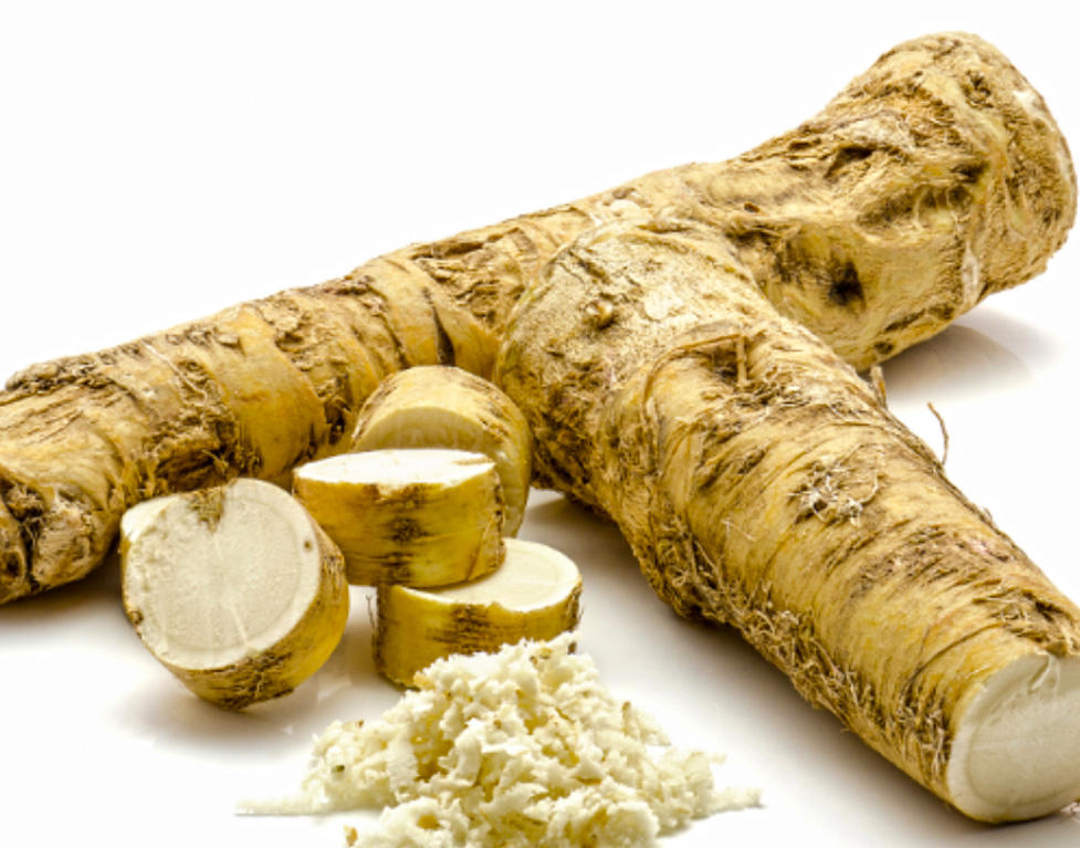 Là Gēn (Horseradish) as TCM ingredient