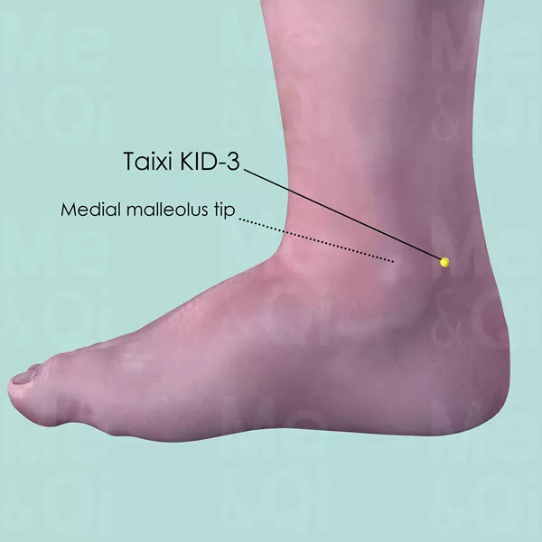 Taixi KID-3 - Skin view - Acupuncture point on Kidney Channel