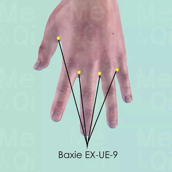 Baxie EX-UE-9 - Skin view - Acupuncture point on Extra Points: Upper Extremities (EX-UE)