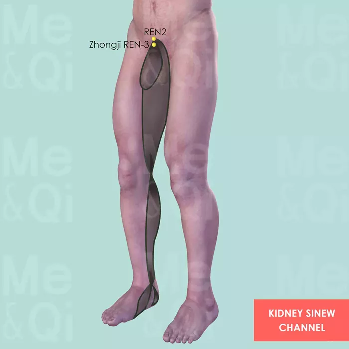 Kidney Sinew Channel