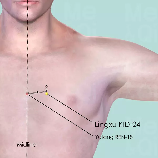Lingxu KID-24 - Skin view - Acupuncture point on Kidney Channel