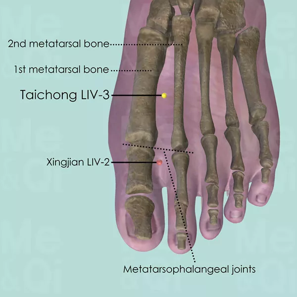 Taichong LIV-3 - Bones view - Acupuncture point on Liver Channel