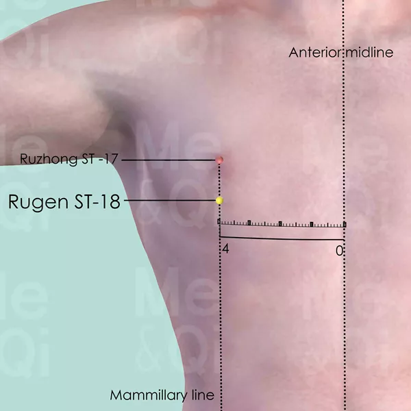 Rugen ST-18 - Skin view - Acupuncture point on Stomach Channel
