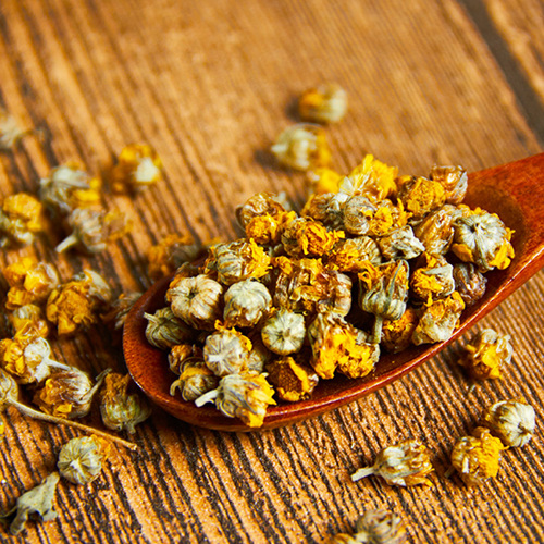 Yě Jú Huā (Wild chrysanthemum flower) as TCM ingredient