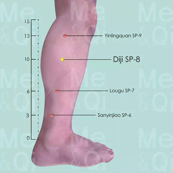 Diji SP-8 - Skin view - Acupuncture point on Spleen Channel