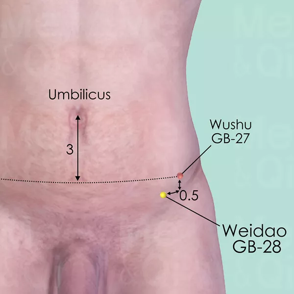 Weidao GB-28 - Skin view - Acupuncture point on Gall Bladder Channel