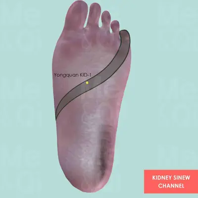 Kidney Sinew Channel pathway