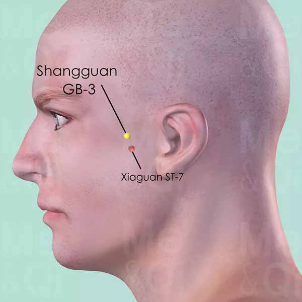 Shangguan GB-3 - Skin view - Acupuncture point on Gall Bladder Channel